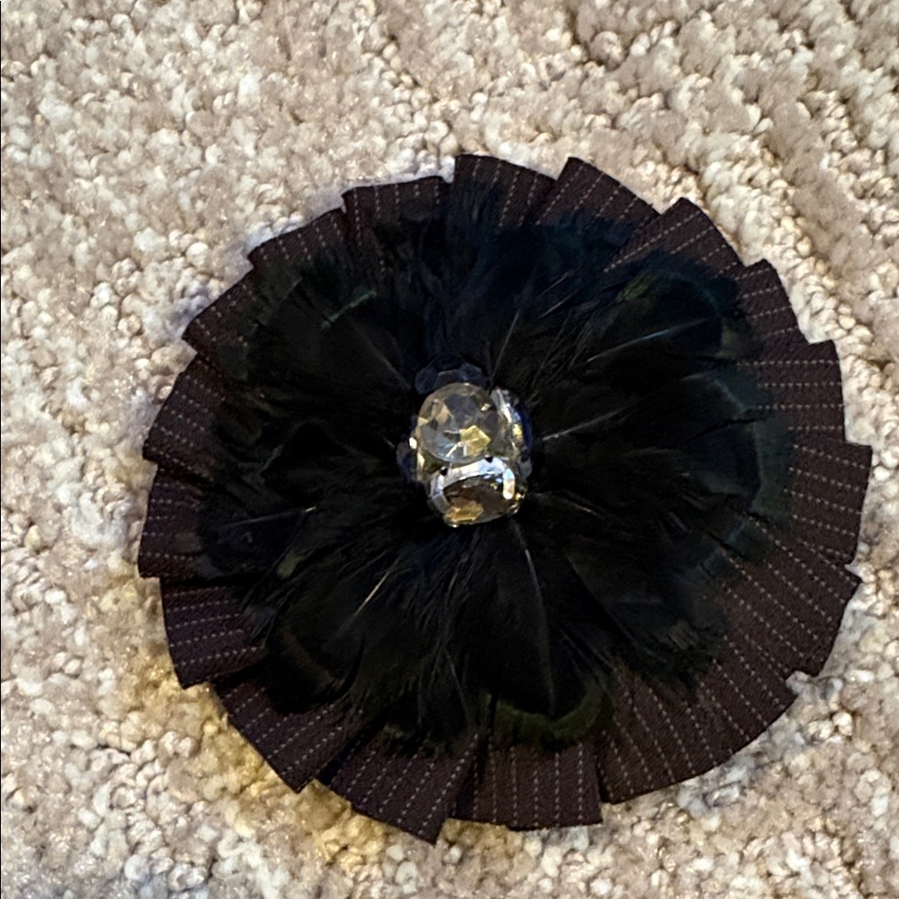 LOFT Black Feather Brooch with Crystal Accent